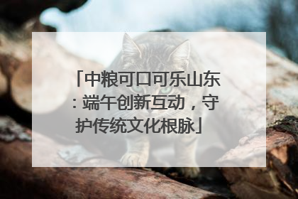 中粮可口可乐山东：端午创新互动，守护传统文化根脉