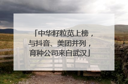 中华籽粒苋上榜，与抖音、美团并列，育种公司来自武汉