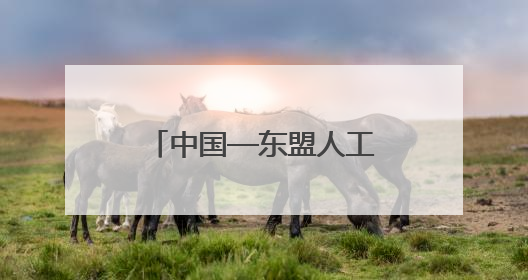中国—东盟人工智能创新应用大赛在广西北海启动