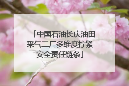 中国石油长庆油田采气二厂多维度拧紧安全责任链条