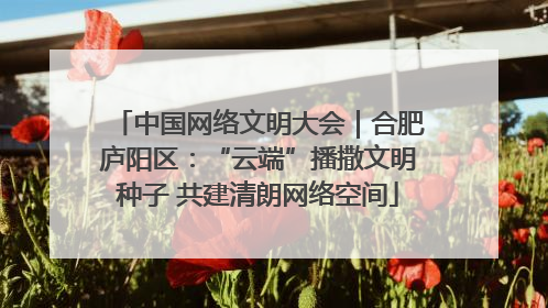 中国网络文明大会｜合肥庐阳区：“云端”播撒文明种子 共建清朗网络空间