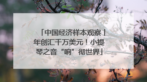中国经济样本观察丨年创汇千万美元！小提琴之音“响”彻世界