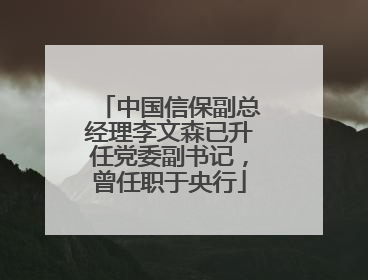 中国信保副总经理李文森已升任党委副书记，曾任职于央行