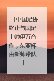 中国足协终止与国足主帅伊万合作，东亚杯由新帅带队