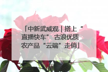 中新武威观｜搭上“直播快车” 古浪优质农产品“云端”走俏