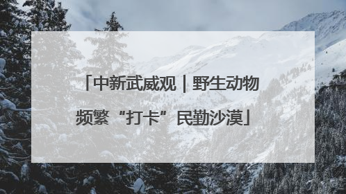 中新武威观｜野生动物频繁“打卡”民勤沙漠