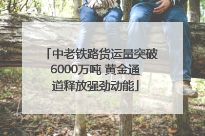 中老铁路货运量突破6000万吨 黄金通道释放强劲动能