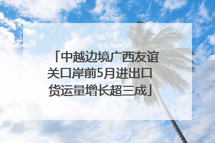 中越边境广西友谊关口岸前5月进出口货运量增长超三成
