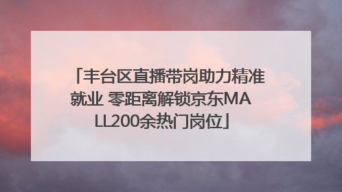 丰台区直播带岗助力精准就业 零距离解锁京东MALL200余热门岗位