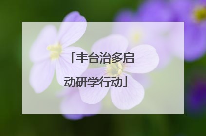 丰台治多启动研学行动