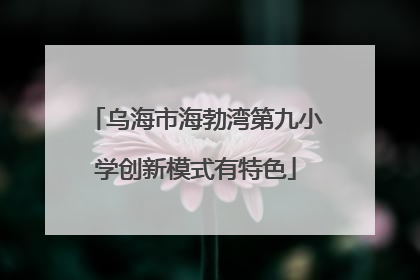 乌海市海勃湾第九小学创新模式有特色