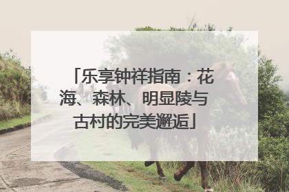 乐享钟祥指南：花海、森林、明显陵与古村的完美邂逅