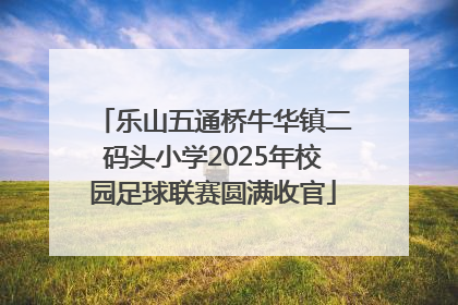 乐山五通桥牛华镇二码头小学2025年校园足球联赛圆满收官