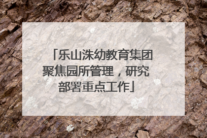 乐山洙幼教育集团聚焦园所管理，研究部署重点工作