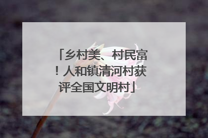 乡村美、村民富！人和镇清河村获评全国文明村