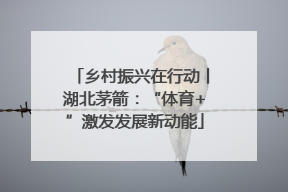 乡村振兴在行动丨湖北茅箭：“体育+”激发发展新动能