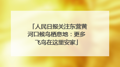 人民日报关注东营黄河口候鸟栖息地：更多飞鸟在这里安家