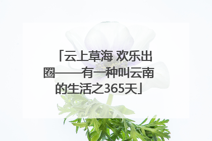 云上草海 欢乐出圈——有一种叫云南的生活之365天