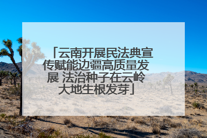云南开展民法典宣传赋能边疆高质量发展 法治种子在云岭大地生根发芽