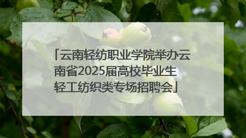 云南轻纺职业学院举办云南省2025届高校毕业生轻工纺织类专场招聘会