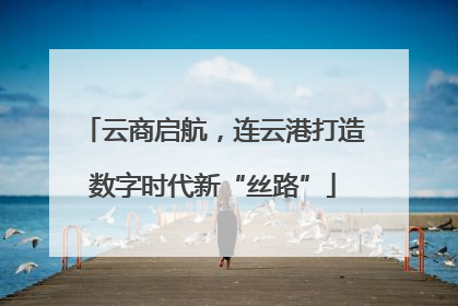 云商启航，连云港打造数字时代新“丝路”