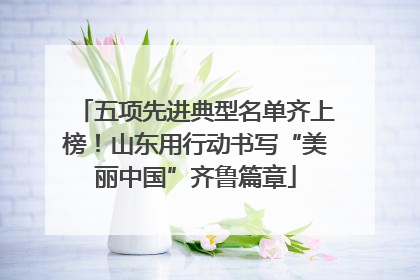 五项先进典型名单齐上榜！山东用行动书写“美丽中国”齐鲁篇章