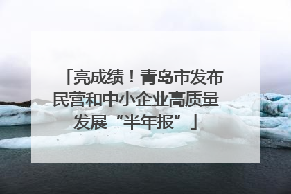 亮成绩！青岛市发布民营和中小企业高质量发展“半年报”