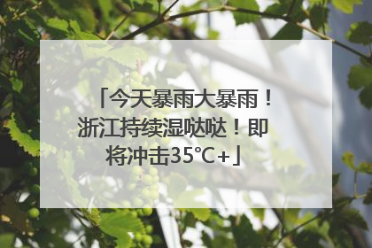 今天暴雨大暴雨！浙江持续湿哒哒！即将冲击35℃+