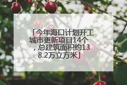 今年海口计划开工城市更新项目14个，总建筑面积约138.2万立方米