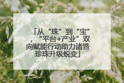 从“珠”到“宝”，“平台+产业”双向赋能行动助力诸暨珍珠升级蜕变
