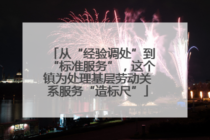 从“经验调处”到“标准服务”，这个镇为处理基层劳动关系服务“造标尺”