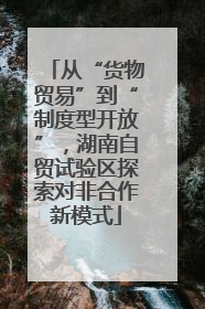 从“货物贸易”到“制度型开放”，湖南自贸试验区探索对非合作新模式