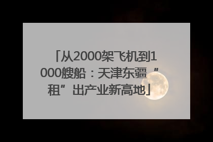 从2000架飞机到1000艘船：天津东疆“租”出产业新高地