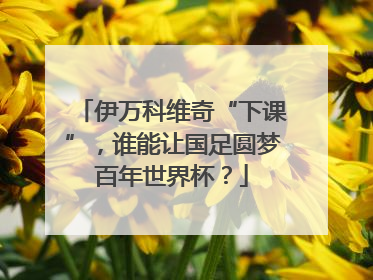 伊万科维奇“下课”，谁能让国足圆梦百年世界杯？