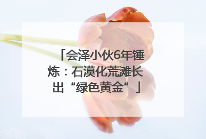 会泽小伙6年锤炼：石漠化荒滩长出“绿色黄金”
