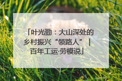 叶光勤：大山深处的乡村振兴“领路人”｜百年工运·劳模说