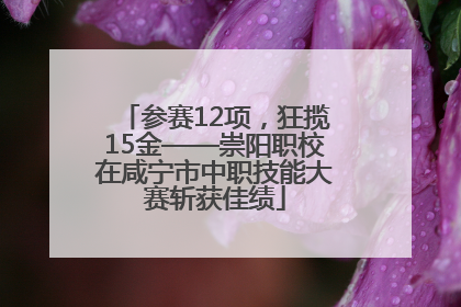 参赛12项，狂揽15金——崇阳职校在咸宁市中职技能大赛斩获佳绩