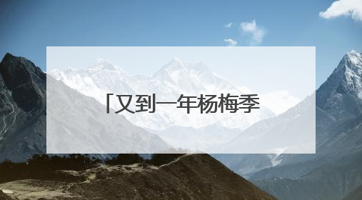 又到一年杨梅季！浙江杨梅赴沪参加世界级食品展
