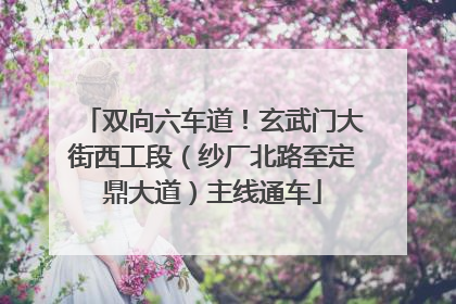 双向六车道！玄武门大街西工段（纱厂北路至定鼎大道）主线通车