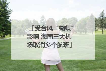 受台风“蝴蝶”影响 海南三大机场取消多个航班
