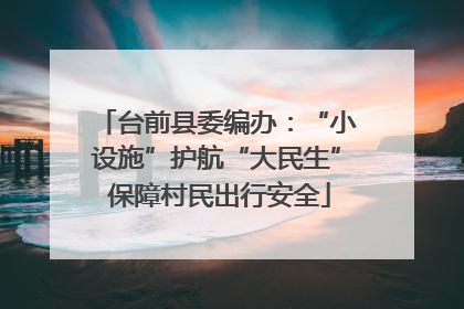 台前县委编办：“小设施”护航“大民生” 保障村民出行安全