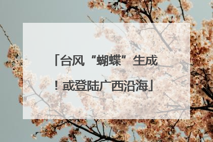 台风“蝴蝶”生成！或登陆广西沿海