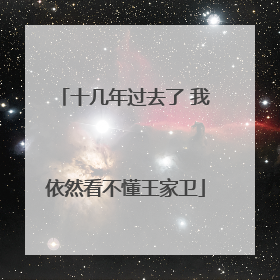 十几年过去了 我依然看不懂王家卫