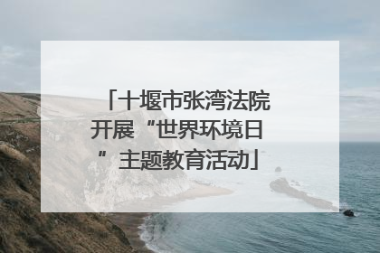 十堰市张湾法院开展“世界环境日”主题教育活动