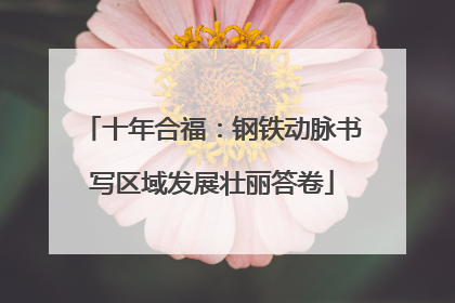十年合福：钢铁动脉书写区域发展壮丽答卷