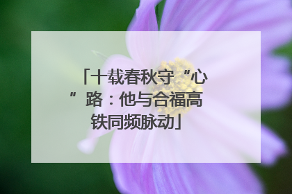 十载春秋守“心”路：他与合福高铁同频脉动