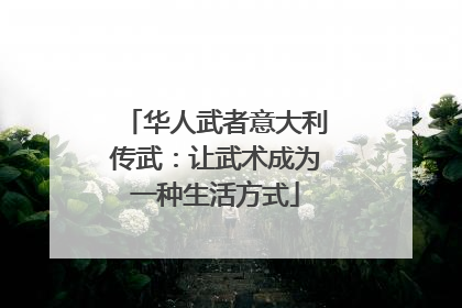 华人武者意大利传武：让武术成为一种生活方式