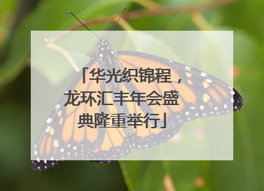 华光织锦程，龙环汇丰年会盛典隆重举行