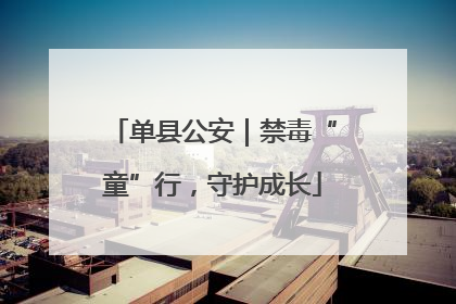 单县公安｜禁毒“童”行，守护成长