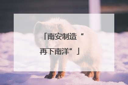 南安制造“再下南洋”